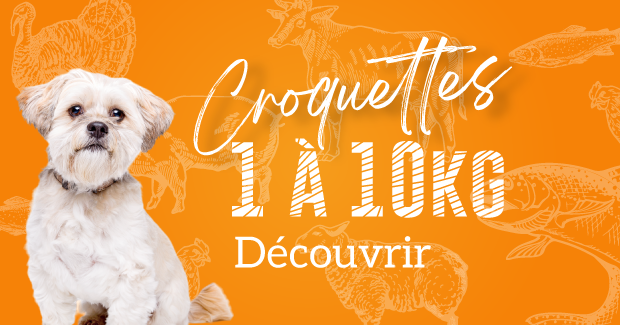 1 à 10kg