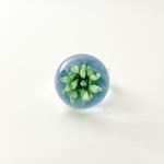 IMG-0857-zoom