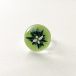IMG-0845-zoom