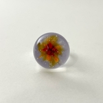 IMG-0861-zoom