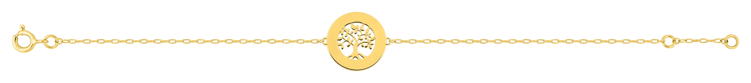 Bracelet Or 18 Carats