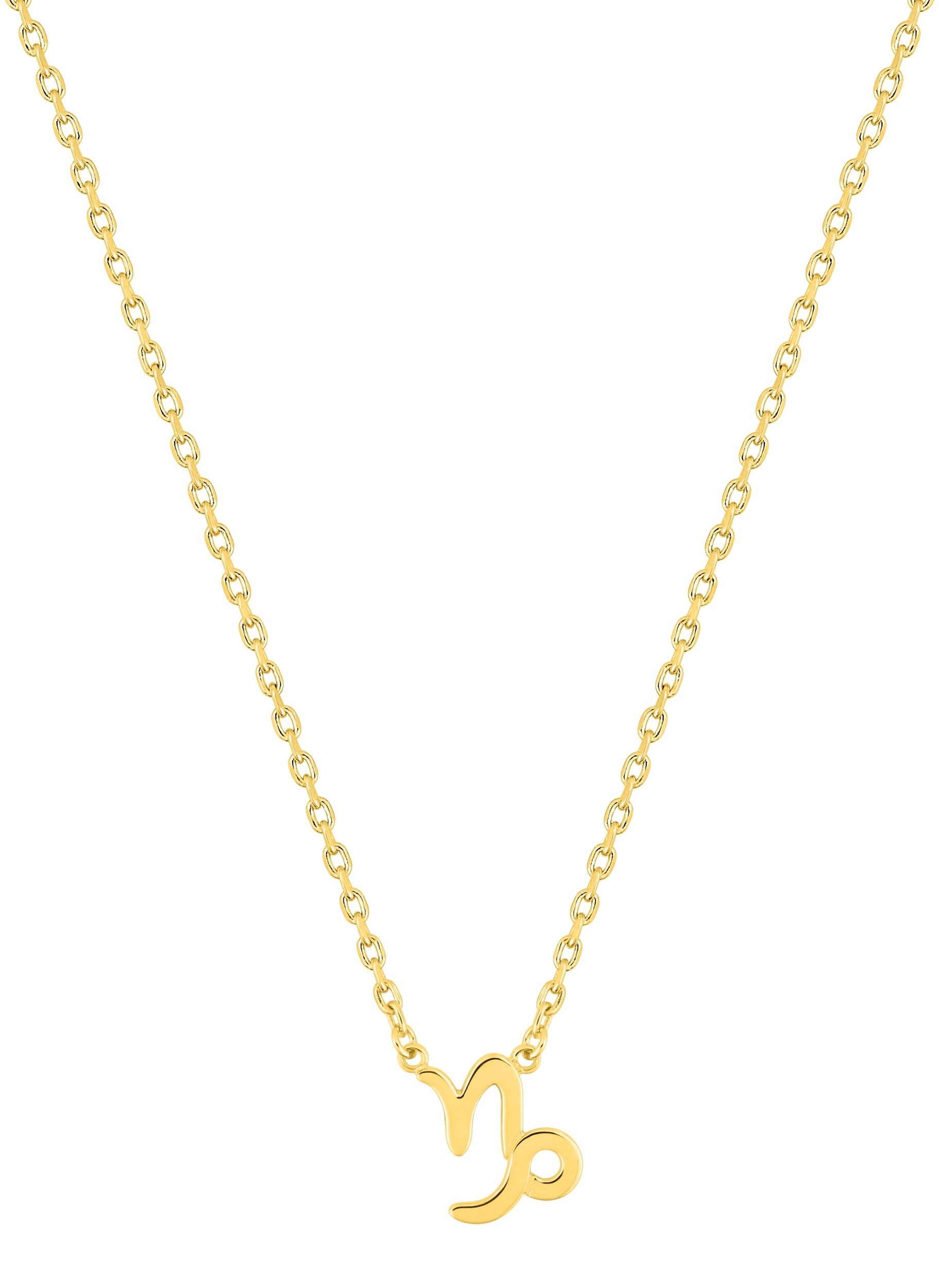 Collier Zodiaque Capricorne plaqué Or