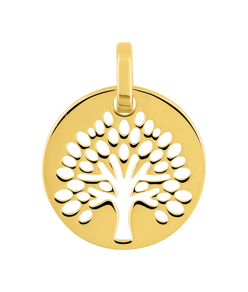 Pendentif  Or 18 Carats