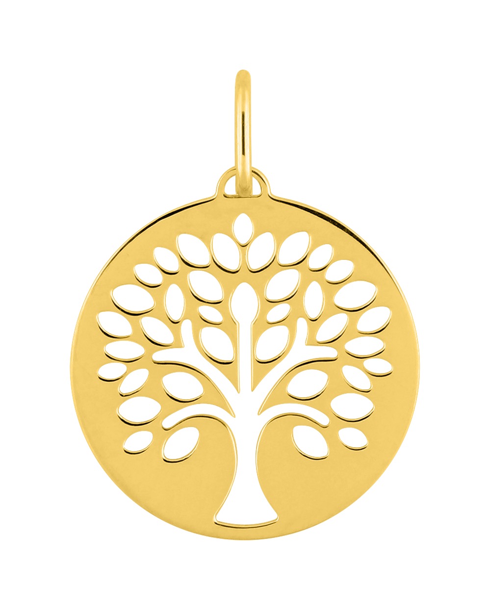 Pendentif Or 18 Carats