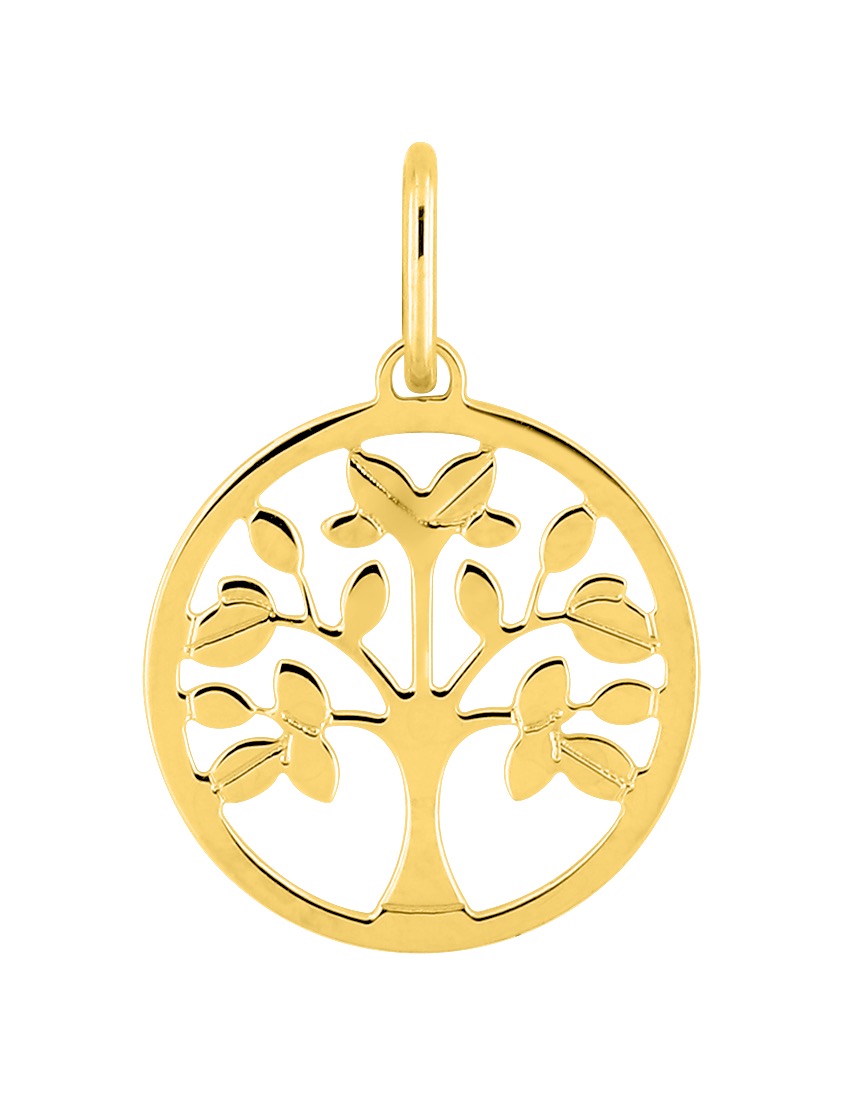 Pendentif Or 18 Carats