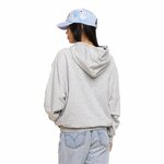 Sweat à capuche gris CHAIN Von Dutch (1)
