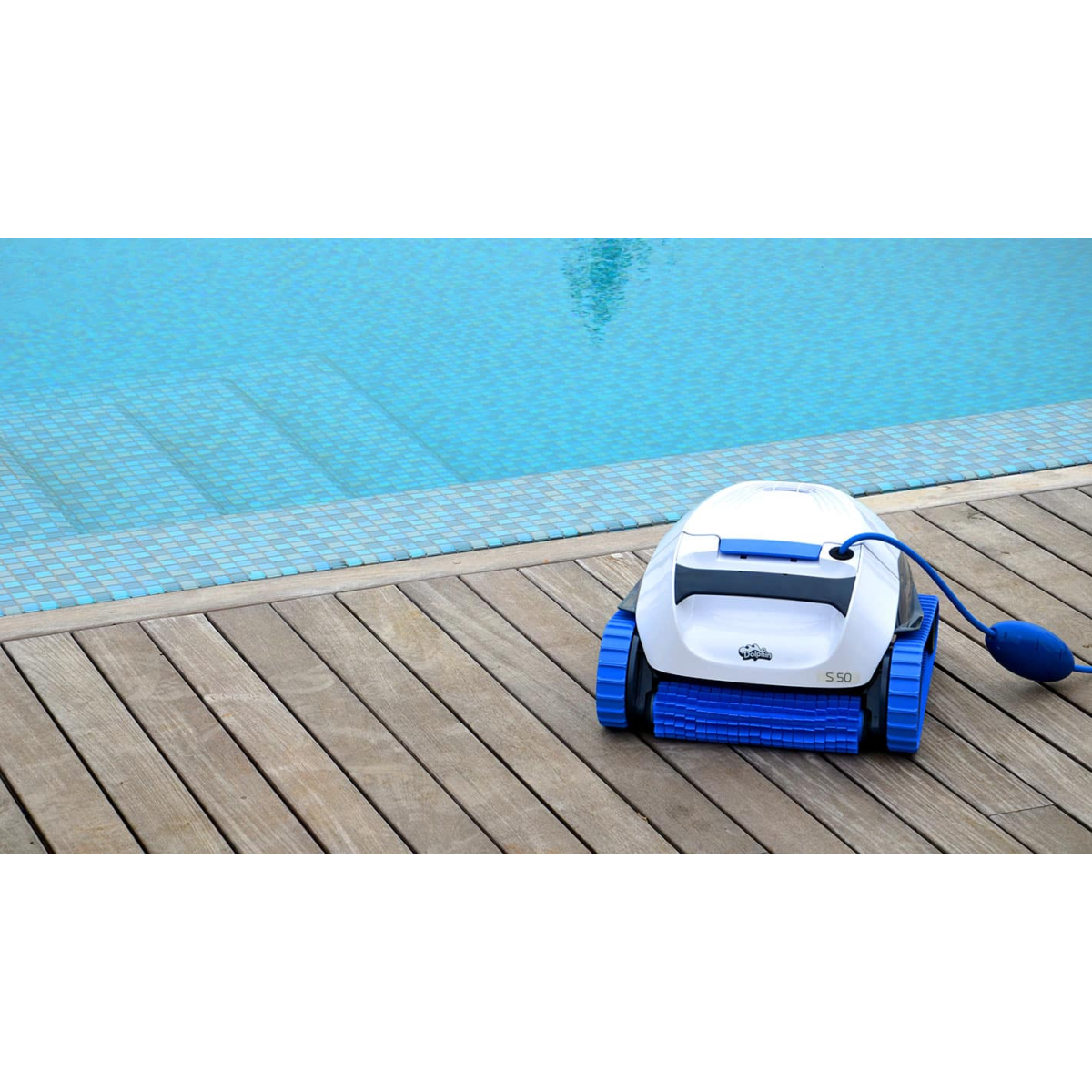 dolphin-s50-05-zoom