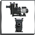 pompe-renovo-zoom