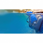 dolphin-m400-02-zoom