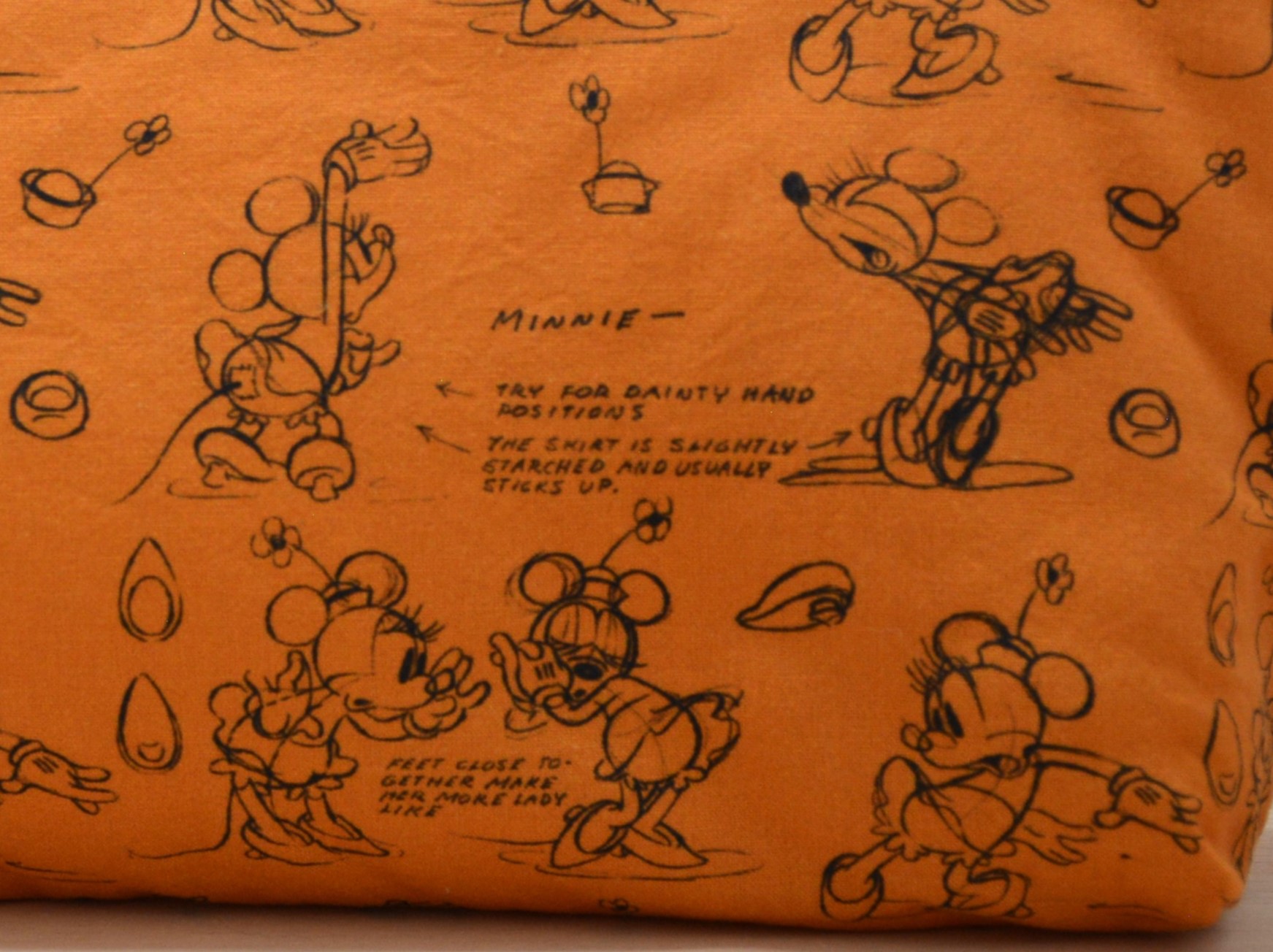 trousse minnie