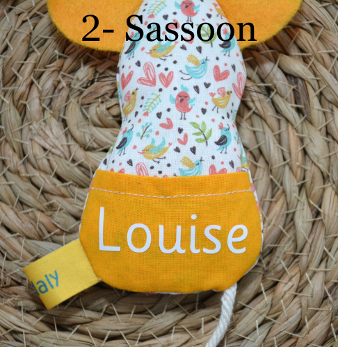 2- Sassoon