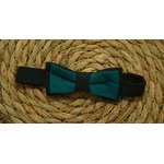 noeud papillon enfant 2