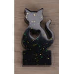 Noir paillettes 1