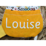 2- Sassoon