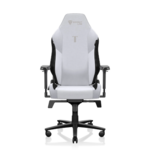 secretlab-arctic-white