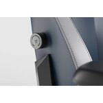 lumbar-curvature-secretlab-royal