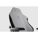 backrest-secretlab-ash