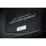 automobili-lamborghini-pinnacle-edition