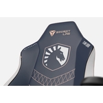 team-liquid-gaming-chair