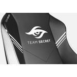 front-side-gaming-chair-team-secret