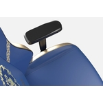armrest-and-seat-alliance-gaming-chair