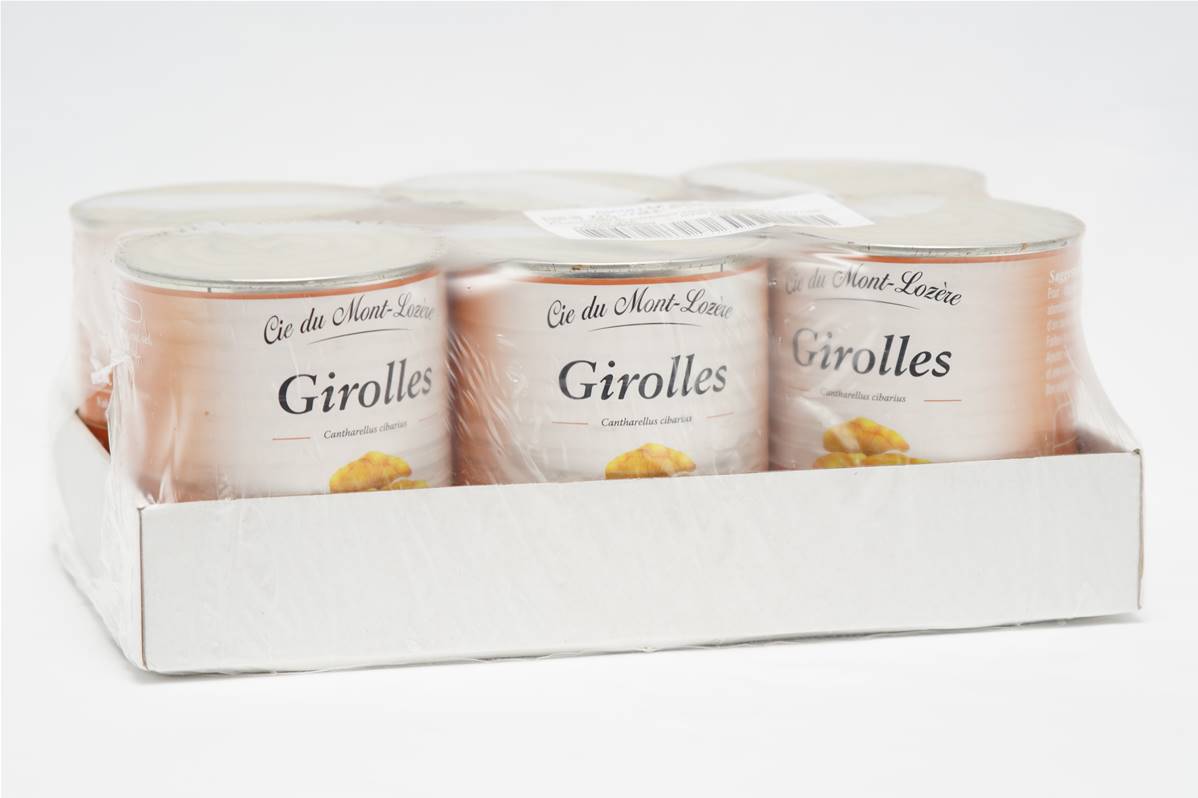 383003---GIROLLE-BT-44-CT-6x1200