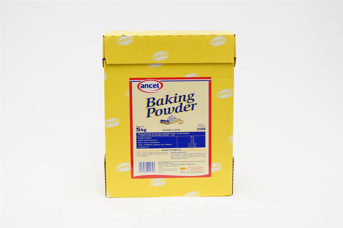 376196---LEVURE-CHIMIQUE-BACKING-POWDER-CT-5kgx1200