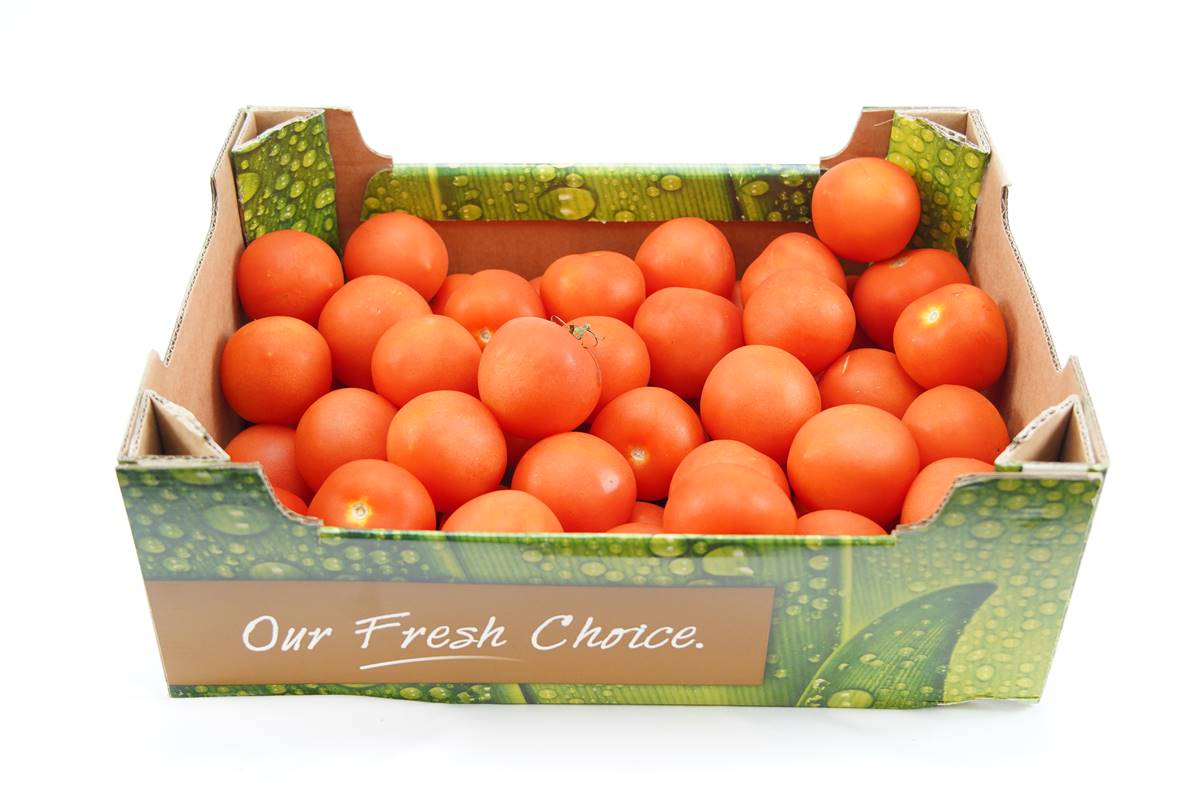 Tomate vrac en caisse de 6kg