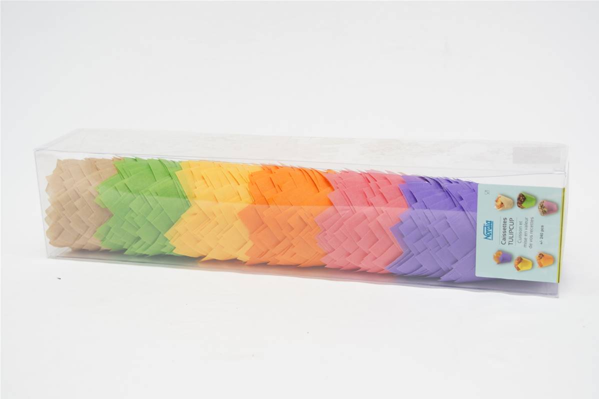 518432---CAISSETTE-TULIPCUP-6-COULEUR-ASS-PQ-240x1200