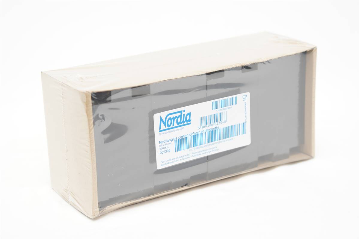 518475---RECTANGLE-LANGUETTE-9-5x5-6-OR-PQ-200x1200