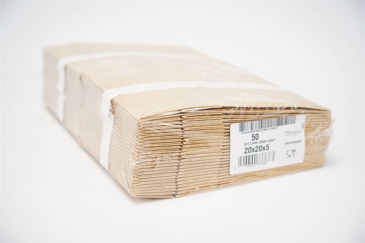 Boite carre kraft brun 20x5cm paquet de 50