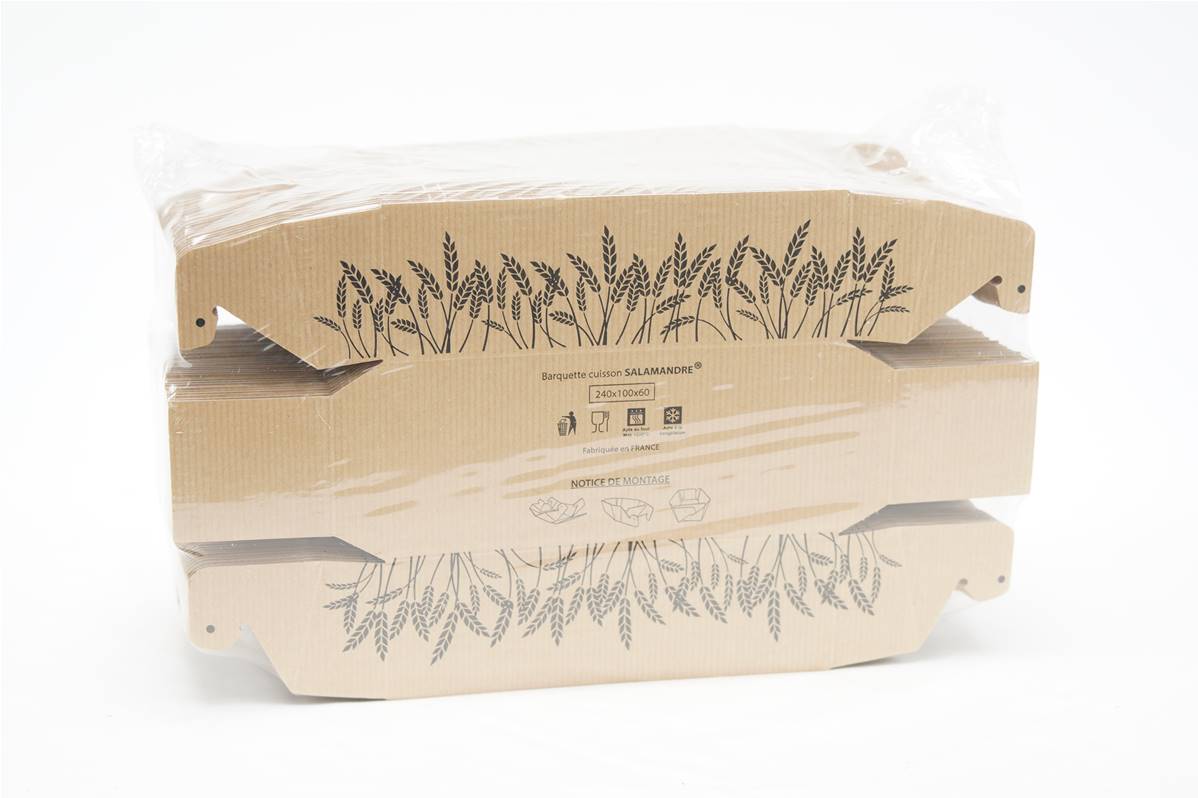 518276---BARQUETTE-SALAMANDRE-240x100x60-PQ-100x1200