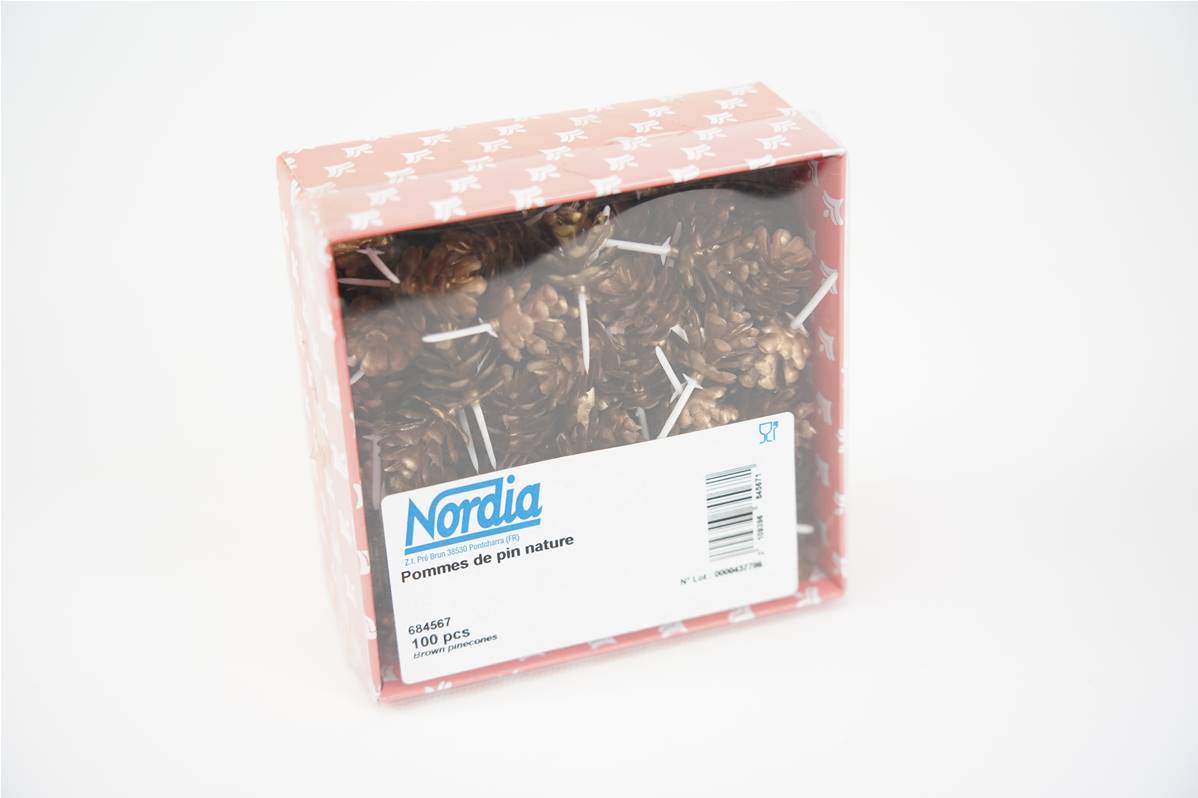 Pomme de pin nature 20mm boite de 100 nordia