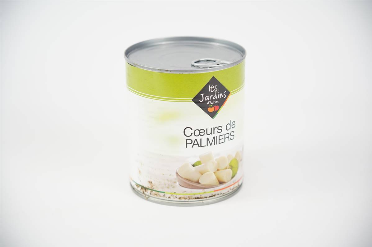 386618---COEURS-DE-PALMIERS-JARDIN-D-A-BOITE-44x1200
