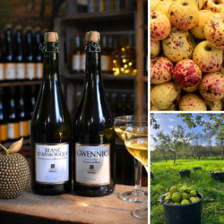 cidre bio séhédic