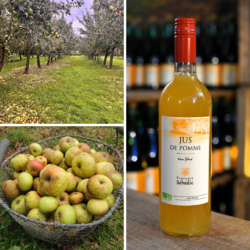 jus de pomme bio séhédic