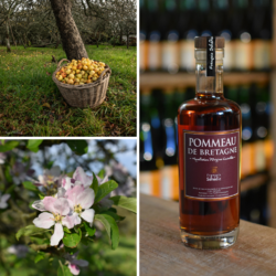 pommeau de bretagne cidre séhédic