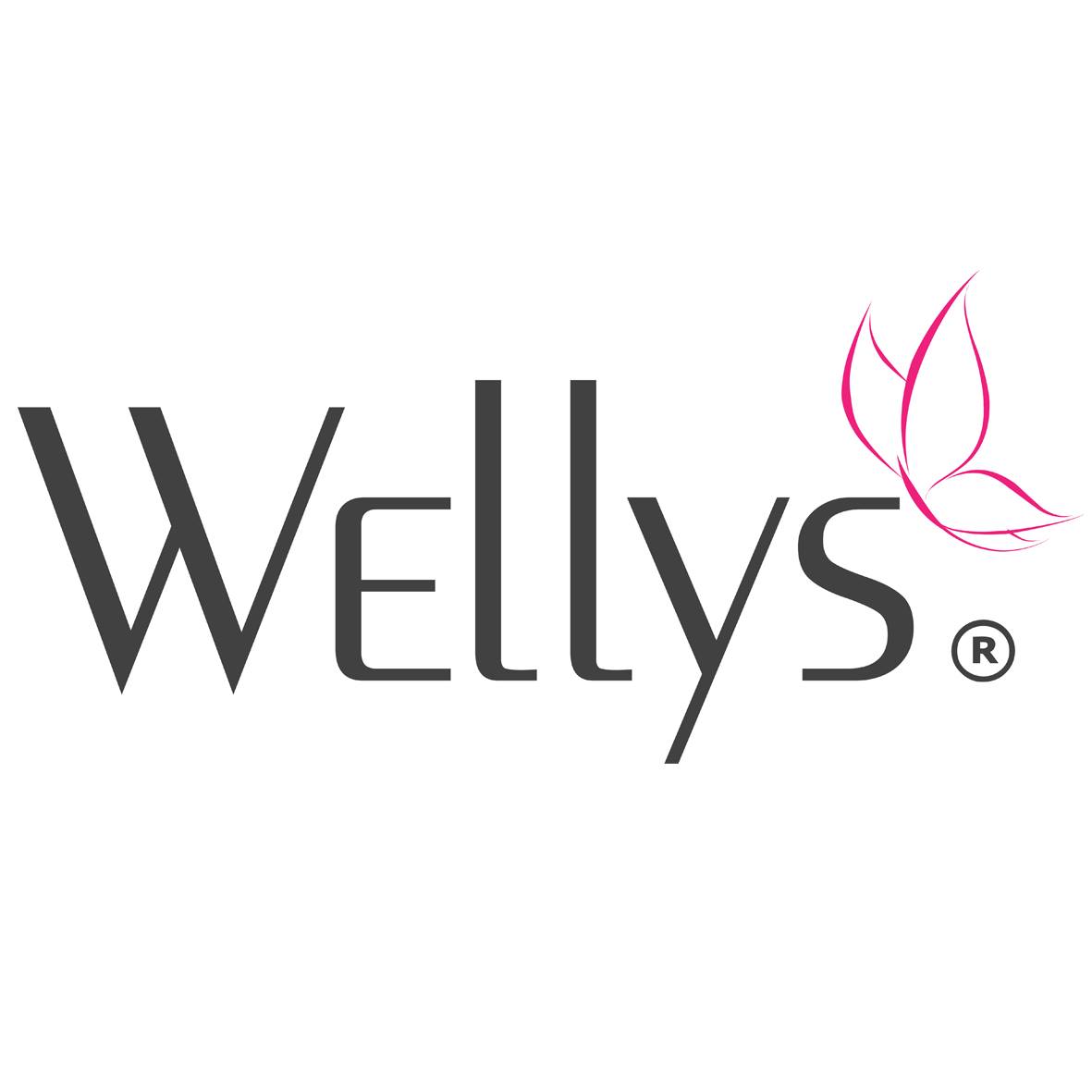logo-marque-wellys
