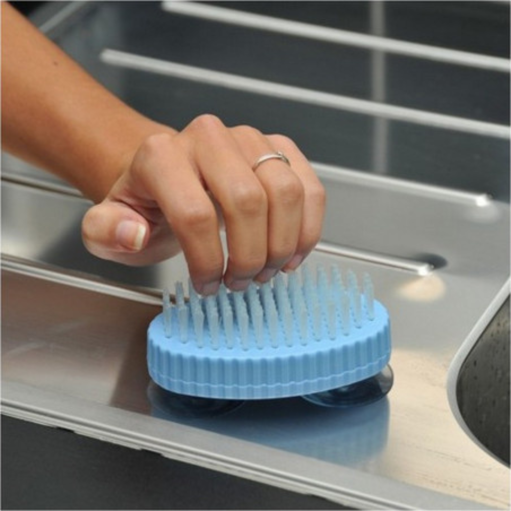 Brosse a ventouses (3)
