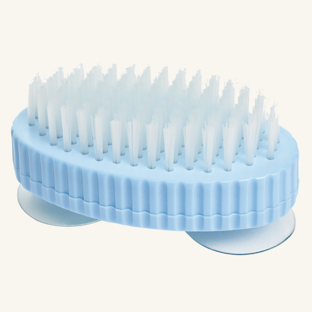 Brosse a ventouses (2)