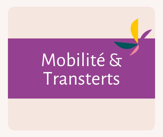categorie-mobilité-et-transfert