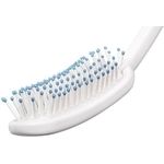zoom-sur-tete-brosse-cheveux-long-manche-avec-picots-en-plastiques-et-bouts-bleux-aux-extremites-evite-efforts-bras