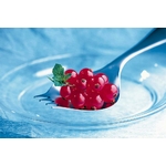 un-couvert-polyvalent)georgette-rempli-de-groseilles-au-dessus-assiette-fond-bleu-remplace-cuillere-et-fourchette