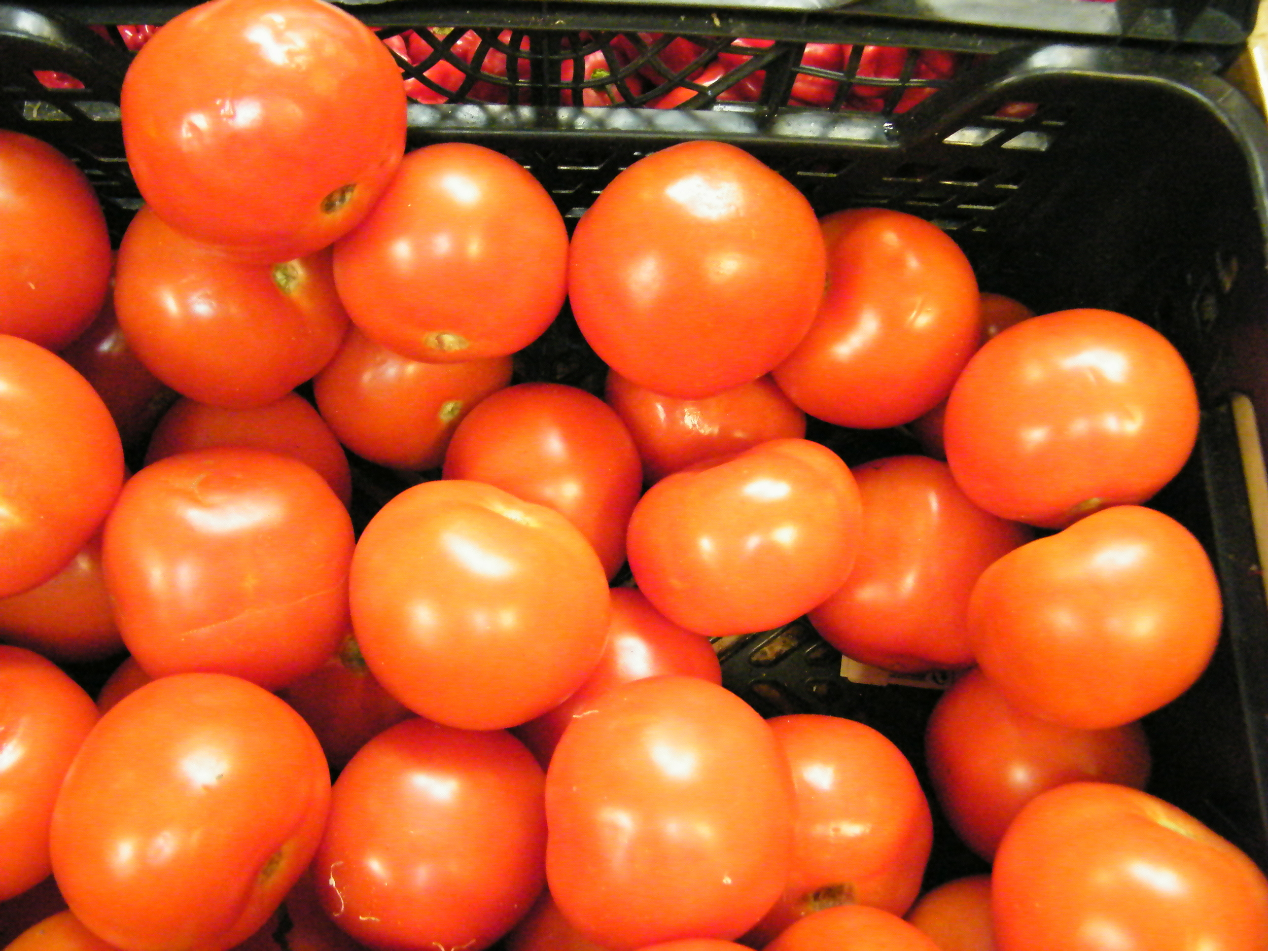DSCF2810