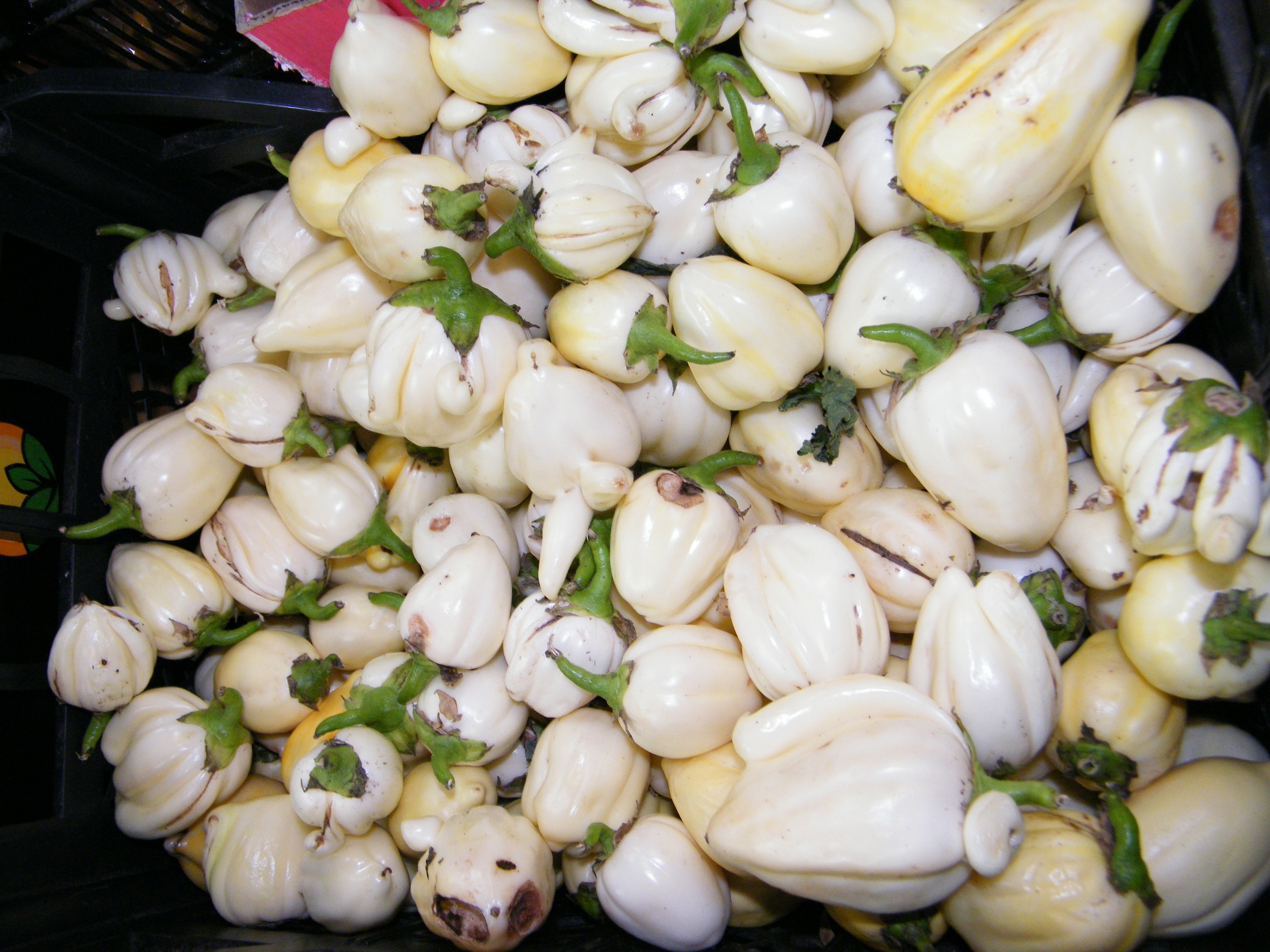 légumes