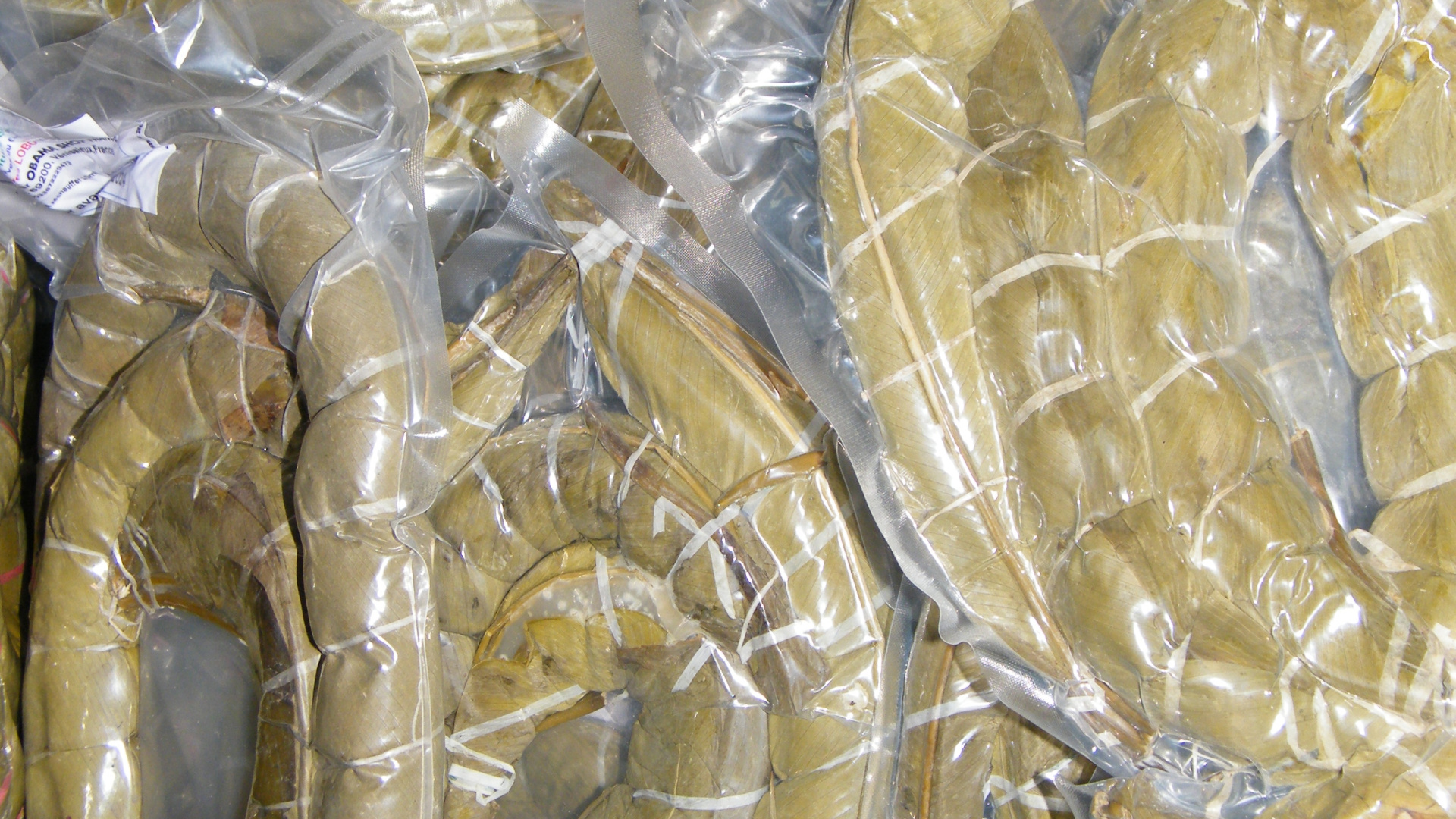 Baton de manioc / Bobolo
