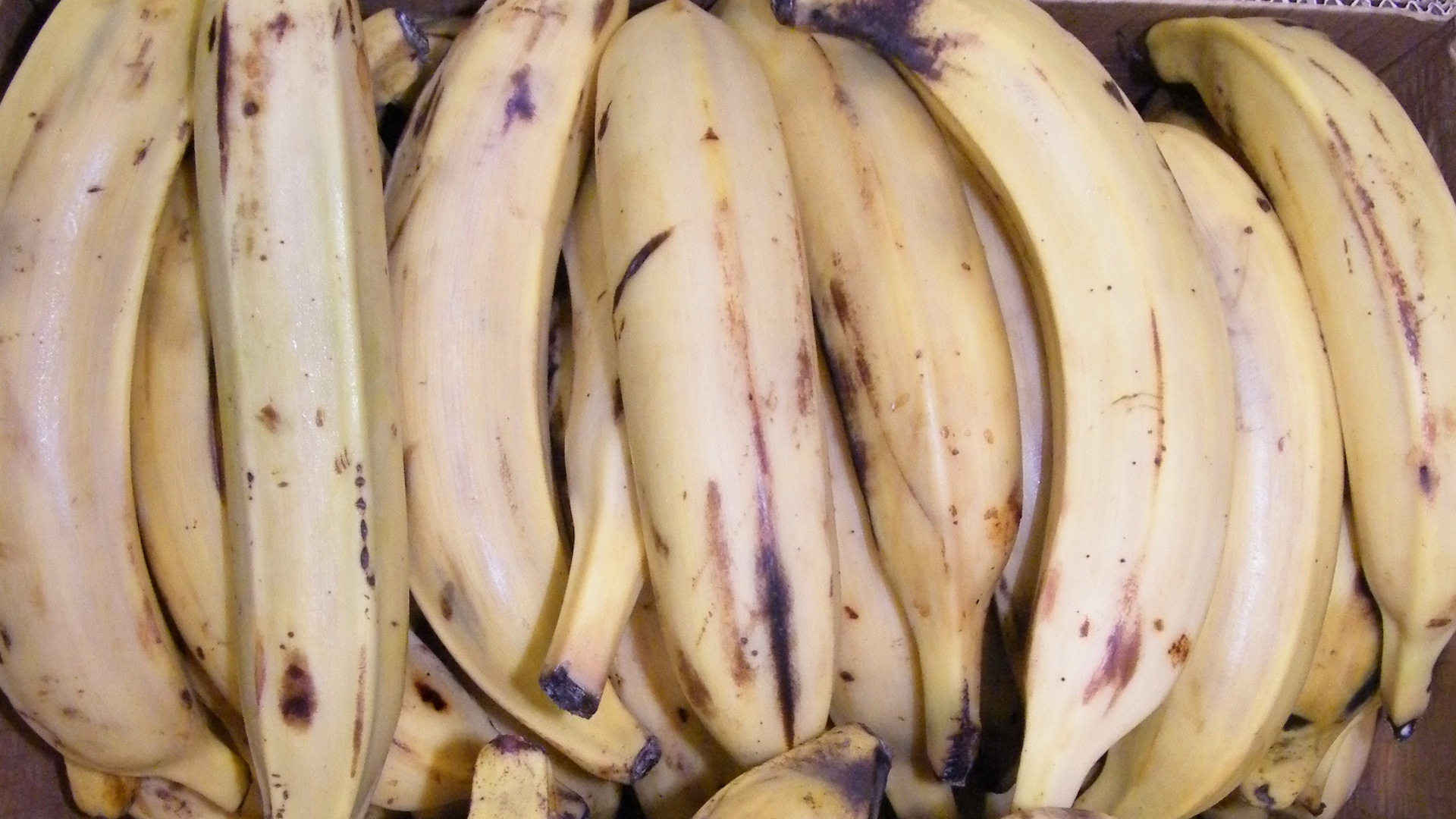 Banane plantain