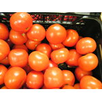 DSCF2810