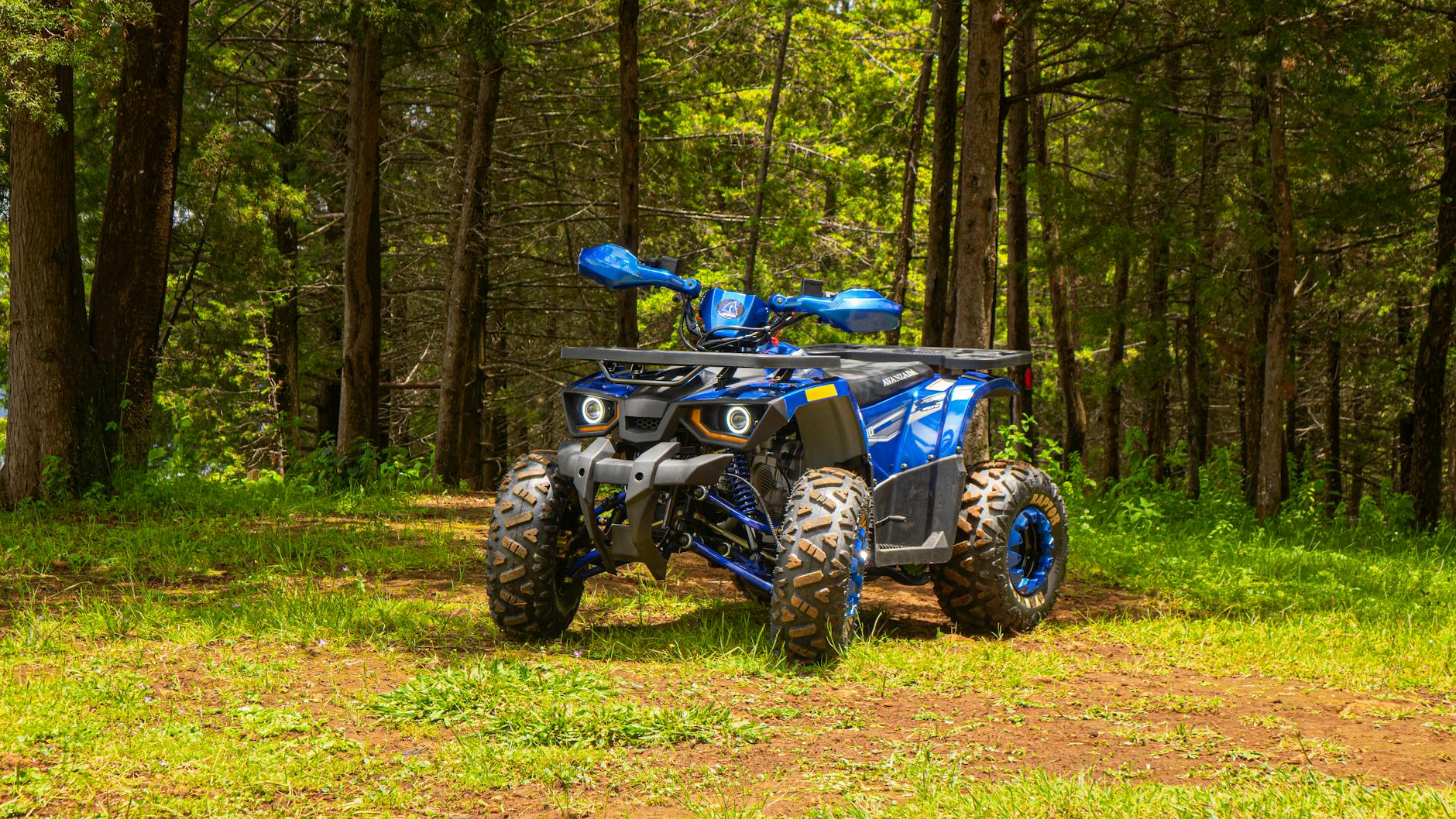 photos gratuites de arbres atv bois