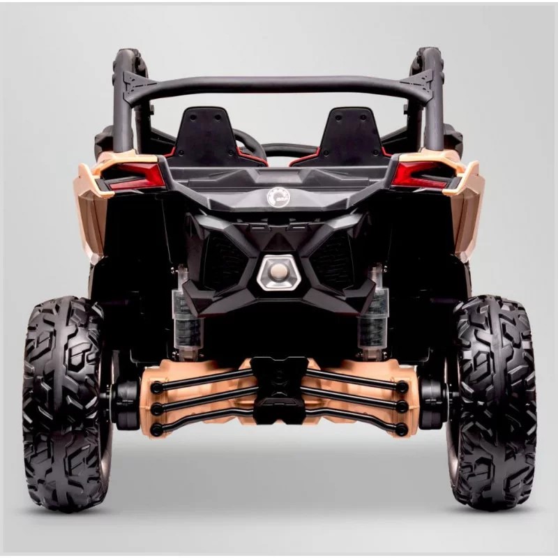 BUGGY-~1